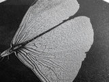Dragonfly Wings Macro, Nature Insect Print, Detailed Bug Art, Minimalist Scientific Wall Decor, Framed Canvas Print, Study Room Art