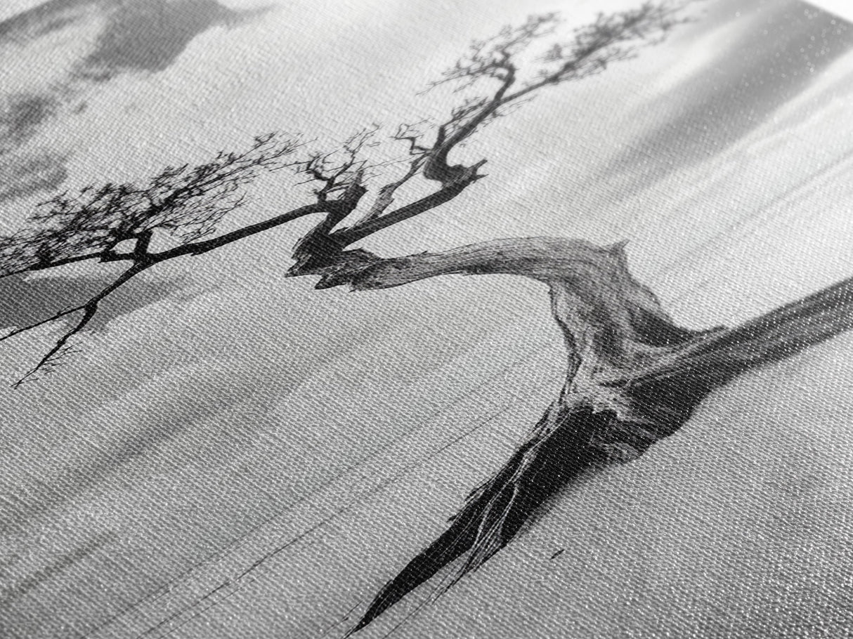 Solitary Tree, Beach Art, Surreal Landscape, Moody Wall Decor, Framed Canvas Print, Meditation Room Art, Monochrome Nature Style