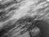 Forest Canopy, Nature Perspective, Tranquil Trees, Black and White, Framed Canvas Print, Cabin Wall Art, Scandinavian Decor, Minimalist Style