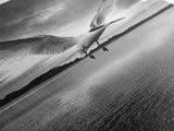 Soaring Bird, Ocean Wings, Nature Flight, Sky Spirit, Canvas Print, Coastal Wall Art, Beach House Decor, Modern Bird Photography