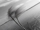 Lakeside Grasses, Windy Waterscape Print, Minimal Nature Art, Calm Landscape Decor, Bathroom or Office Wall Art, Canvas Print
