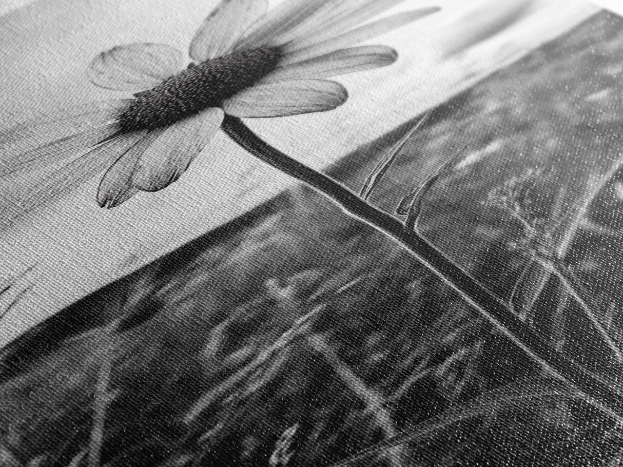 Single Daisy Bloom, Minimalist Botanical, Black White Flower, Framed Canvas Print, Nature Inspired Art, Bedroom Wall Decor, Modern Farmhouse
