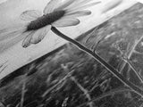 Single Daisy Bloom, Minimalist Botanical, Black White Flower, Framed Canvas Print, Nature Inspired Art, Bedroom Wall Decor, Modern Farmhouse