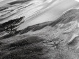 Cliffside Tree, Coastal Path, Nature Landscape, Canvas Print, Monochrome Hiking Trail Art, Boho Entryway or Office Wall Decor