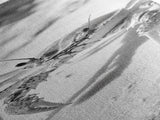 Sand Crab, Coastal Vibes, Beach Creature, Desert Aesthetic, Monochrome Wall Art, Canvas Print, Boho Bathroom Decor, Ocean Life Artwork