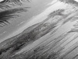 Desert Path, Palm Trees, Serene Escape, Tranquil Garden, Monochrome Landscape, Framed Canvas Print, Entryway Wall Art, Nature Minimal