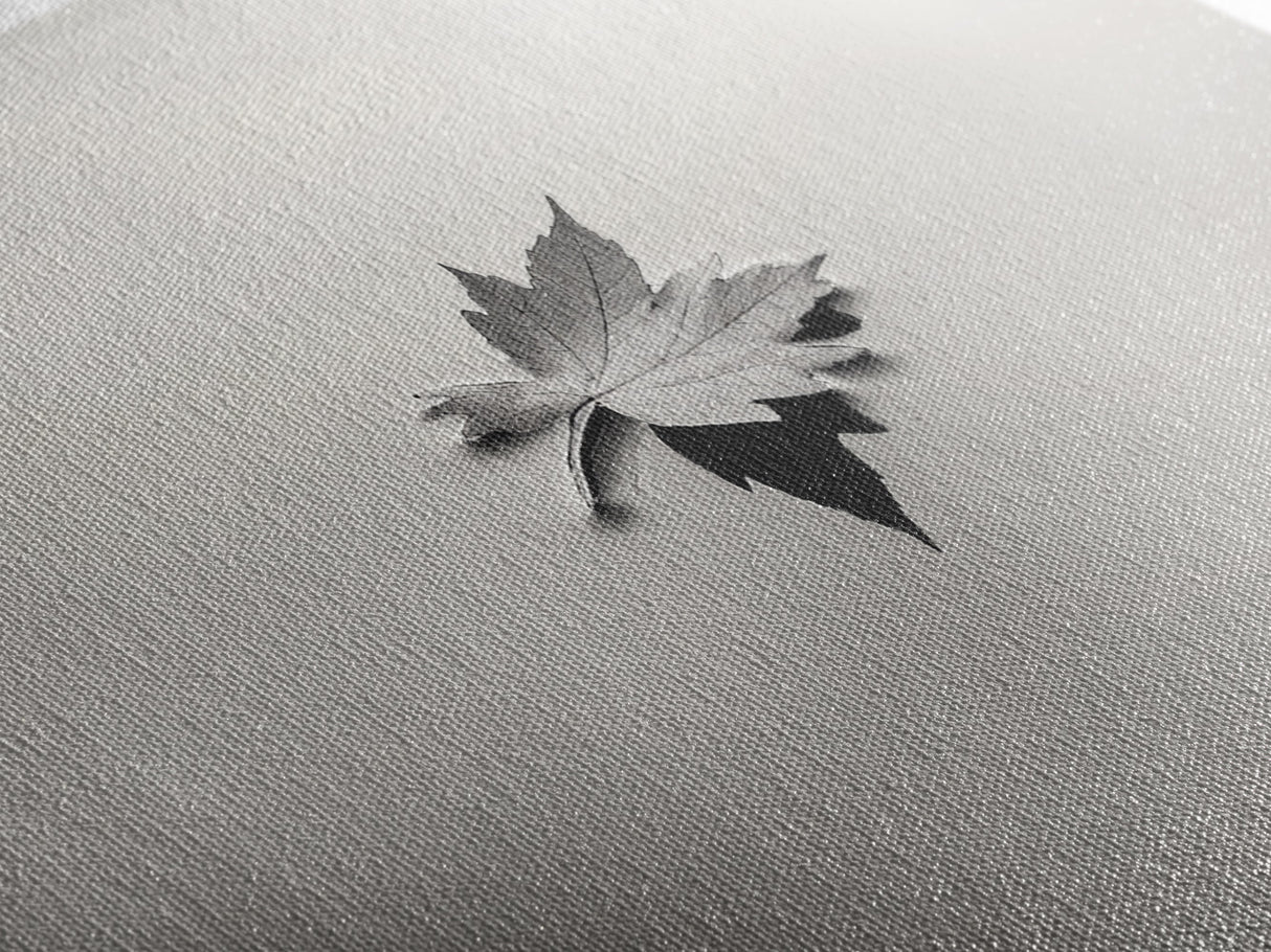 Autumn Leaf, Tranquil Water, Floating Serenity, Soft Tones Nature Art, Canvas Print, Fall Bedroom Wall Art, Minimalist Style