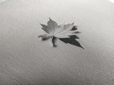 Autumn Leaf, Tranquil Water, Floating Serenity, Soft Tones Nature Art, Canvas Print, Fall Bedroom Wall Art, Minimalist Style