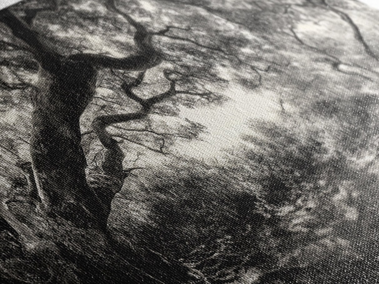 Twisted Forest Canopy, Ancient Trees, Mystical Woodland, Canvas Print, Boho Living Room Art, Black and White Nature Print, Cabin Decor