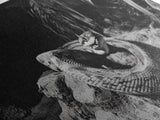 Jungle Snake Scene, Reptile Animal Art, Bold Black and White, Framed Canvas Print, Wildlife Decor, Man Cave or Study Wall Art