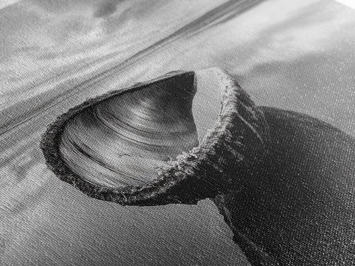 Seashell Shore Still, Ocean Reflection Calm, Beach Shell Close-Up, Framed Canvas Print, Coastal Minimalism, Bathroom Wall Art