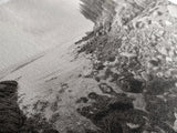 Rocky Coast, Forest Edge, Tranquil Shoreline, Earthy Landscape Scene, Canvas Print, Neutral Home Decor, Rustic Cabin Wall Art