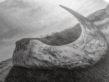 Driftwood Horn Curve, Coastal Nature Art, Whale Bone Decor, Beachside Minimalism, Canvas Print, Entryway Wall Art, Nautical Rustic Decor