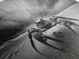 Fierce Crab, Coastal Storm, Ocean Mood, Dramatic Shore, Framed Canvas Print, Bathroom Wall Art, Beach House Decor, Marine Photography