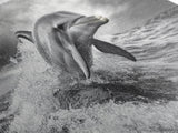 Leaping Dolphin, Ocean Life, Marine Animal, Waves Splashing, Framed Canvas Print, Coastal Kids Room Art, Beach House Decor