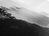 Foggy Cliff Coast, Ocean Pines Landscape, Moody Nature Art, Misty Seascape Scene, Framed Canvas Print, Living Room Wall Art, Fall Decor