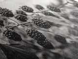 Blackberries on Vine, Farmhouse Kitchen Art, Rustic Fruit Wall Decor, Country Style, Autumn Botanical Photography, Canvas Print