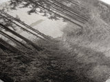 Forest Path, Island View, Vintage Border, Nature Trail, Canvas Print, Sepia Landscape Art, Entryway Wall Art, Woodland Photography Style