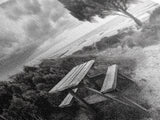 Picnic Table, Ocean Tree, Coastal Path, Windswept Scene, Framed Canvas Print, Rustic Wall Art, Fall Decor, Peaceful Beach Setting