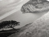 Coastal Cliff View, Solitary Tree Scene, Modern Minimalist Style, Framed Canvas Print, Calm Neutral Wall Art, Living Room Decor