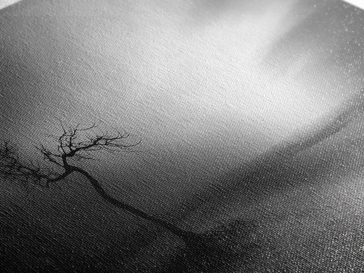 Lonely Tree, Dramatic Desert, Emotional Landscape, Framed Canvas Print, Bedroom Wall Art, Black White Decor, Surreal Art Vibes