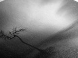 Lonely Tree, Dramatic Desert, Emotional Landscape, Framed Canvas Print, Bedroom Wall Art, Black White Decor, Surreal Art Vibes