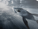 Underwater Dolphin, Ocean Wildlife Art, Marine Animal Decor, Coastal Vibes, Canvas Print, Bathroom Wall Art, Nautical Themed Room