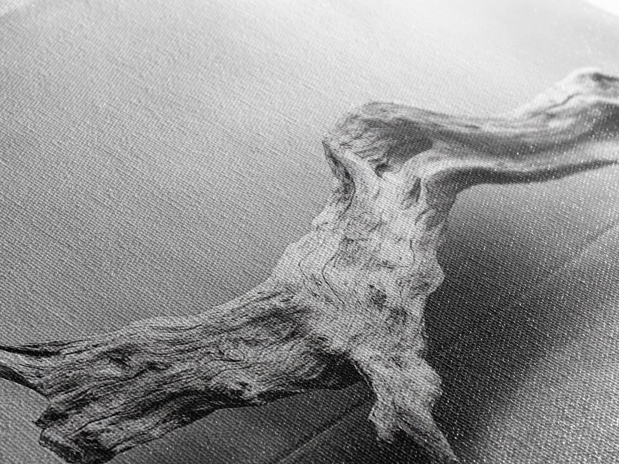 Driftwood Sculpture, Organic Modern Art, Natural Wood Texture, Neutral Decor, Framed Canvas Print, Bedroom or Living Room Wall Art