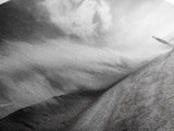 Desert Storm, Solitude Photography, Dramatic Landscape Art, Wind and Sand Scene, Canvas Print, Modern Living Room or Office Wall Art