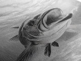 Underwater Fish, Ocean Predator, Aquatic Wildlife, Canvas Print, Bathroom Wall Art, Coastal Nautical Decor, Marine Photography