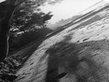 Coastal Shadows Path, Black and White Landscape, Framed Canvas Print, Entryway Art, Calm Nature Scene, Moody Coastal Wall Decor