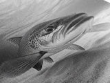 Underwater Trout Closeup, Realistic Fish, Nature Photography, Canvas Print, Man Cave Art, Fishing Lover Gift, Rustic Lake Decor