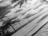 Beach Volleyball, Palm Trees, Island Sport, Canvas Print, Tropical Wall Art, Game Room Decor, Coastal Fitness Photography