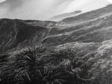 Lush Mountain Range, Cloud Covered Peaks, Jungle Tranquility, Framed Canvas Print, Entryway Wall Art, Black and White Nature, Boho Wall Art