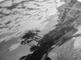 Mediterranean Villa, Palm Tree Art, Coastal Pathway, Framed Canvas Print, Living Room Decor, Summer Wall Art, Black and White Photography