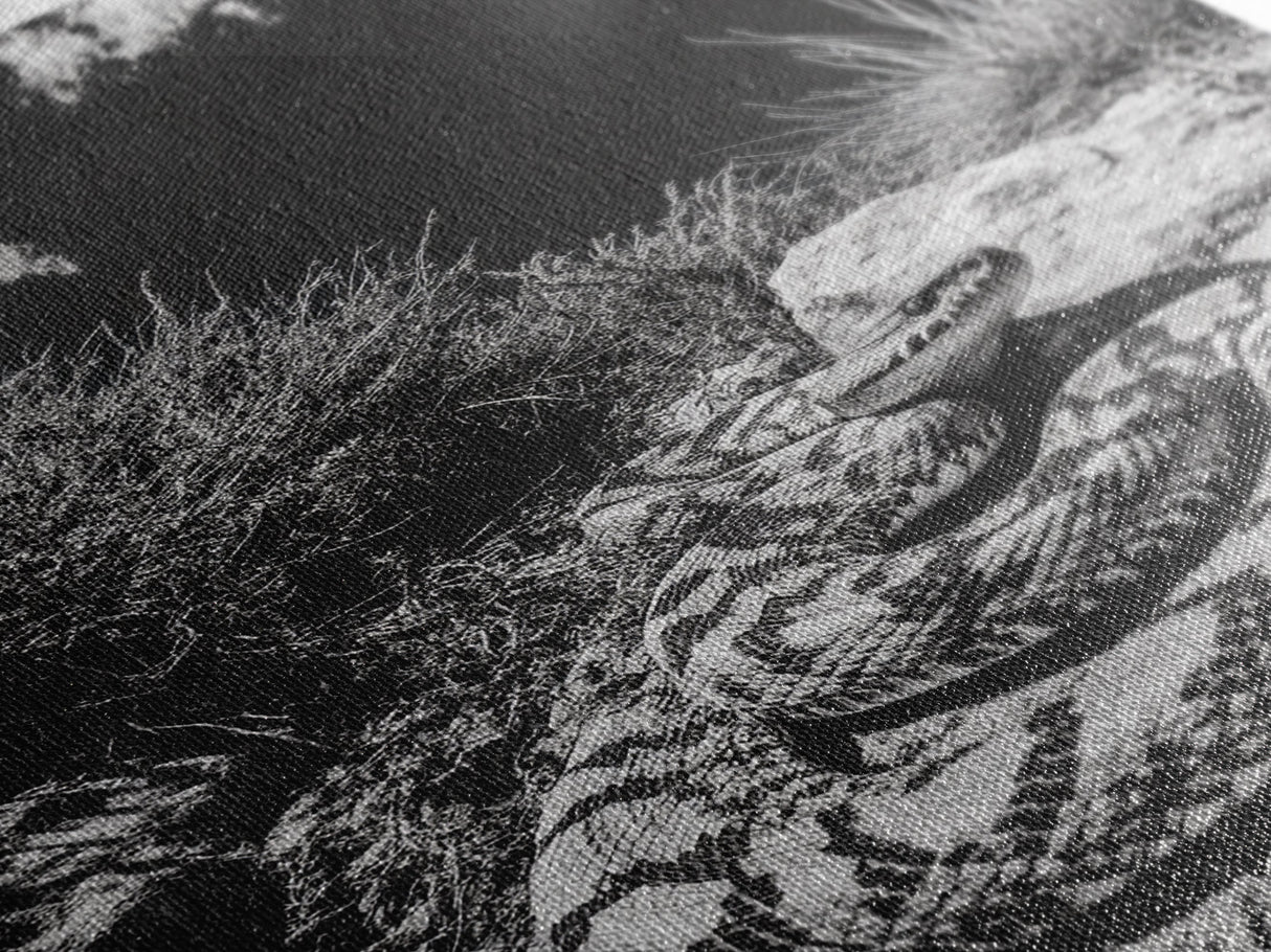 Coiled Snake, Desert Predator, Wild Reptile, Framed Canvas Print, Nature Wildlife Art, Den or Office Decor, Monochrome Animal Photography