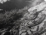 Coiled Snake, Desert Predator, Wild Reptile, Framed Canvas Print, Nature Wildlife Art, Den or Office Decor, Monochrome Animal Photography