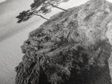 Rocky Coast, Lone Trees, Ocean View, Monochrome Calm, Framed Canvas Print, Bathroom Wall Art, Coastal Style, Minimalist Mountain Art