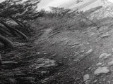 Forest Pathway Trail, Wilderness Escape, Rustic Nature, Black and White Framed Canvas Print, Cozy Cabin or Entryway Wall Art