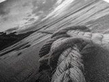 Beach Rope Knot, Coastal Connection, Ocean Shoreline, Nautical Canvas Print, Black and White Bathroom or Seaside Wall Decor