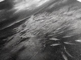 Fish Migration, Dramatic Sky, Moody Landscape, Framed Canvas Print, Dark Nature Art, Rustic Cabin Decor, Fall Wall Art, Nature Drama