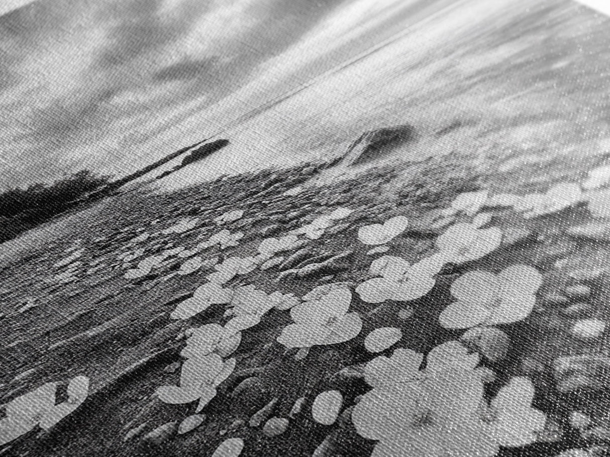 Flower Shore, Peaceful Beach, Moody Sky, Petal Scape, Framed Canvas Print, romantic beach art, bedroom decor, black and white floral print