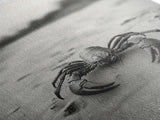 Desert Scorpion, Moody Wildlife, Sandy Ground, Focused Predator, Framed Canvas Print, edgy boho decor, masculine wall art, nature closeup
