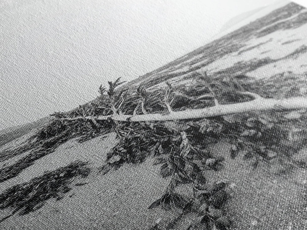 Seaweed Shoreline, Drifted Beauty, Coastal Debris, Tide Echo Framed Canvas Print, ocean nature wall art, minimalist beach decor
