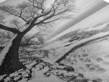 Coastal Snow, Barren Tree, Frozen Shoreline, Canvas Print, Serene Winter Decor, Entryway or Hallway Minimalist Wall Art