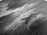 Coastal Mood, Seaside Stillness, Monochrome Art, Canvas Print, Beach Bedroom Wall Art, Moody Ocean Decor, Minimalist Nature