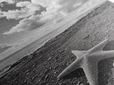 Starfish on Shore, Rocky Beach Scene, Cloudy Sky Horizon, Ocean Calm, Framed Canvas Print, Coastal Art, Bathroom Wall Decor