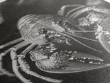 Lobster Close Up, Marine Life Art, Coastal Kitchen Decor, Monochrome Sea Animal, Framed Canvas Print, Ocean Wall Art, Nautical Print