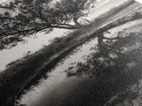 Tree Reflection, Still Water, Peaceful Nature, Framed Canvas Print, Tranquil Wall Art, Rustic Bedroom Decor, Black and White Photography