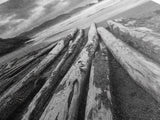 Driftwood Beach, Coastal Logs, Wild Shore, Canvas Print, Rustic Ocean Wall Art, Cabin Bathroom Decor, Nature Inspired Photography